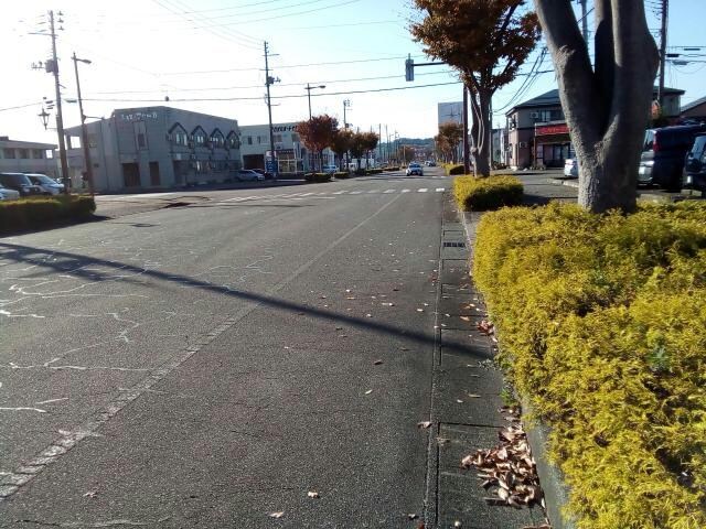 物件外観写真5　(前面道路)