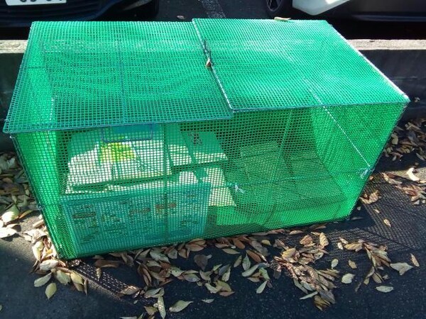 建物設備(専用ゴミ置き場)