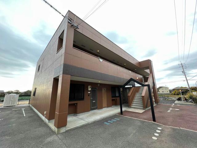 サニープレイスコスモス
