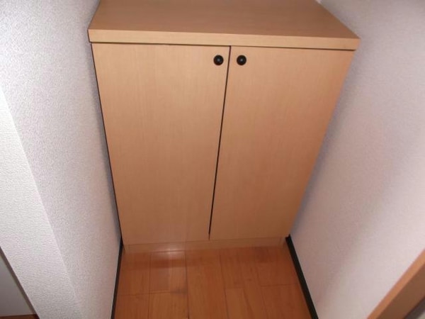 玄関回り(下駄箱)