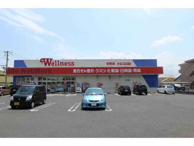 ドラッグストアウェルネス白枝店