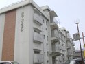泉マンション