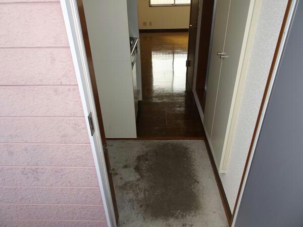 玄関回り(玄関)