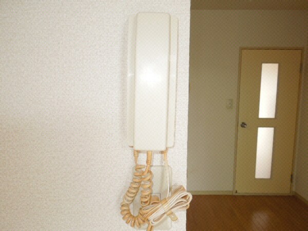 玄関回り(玄関)