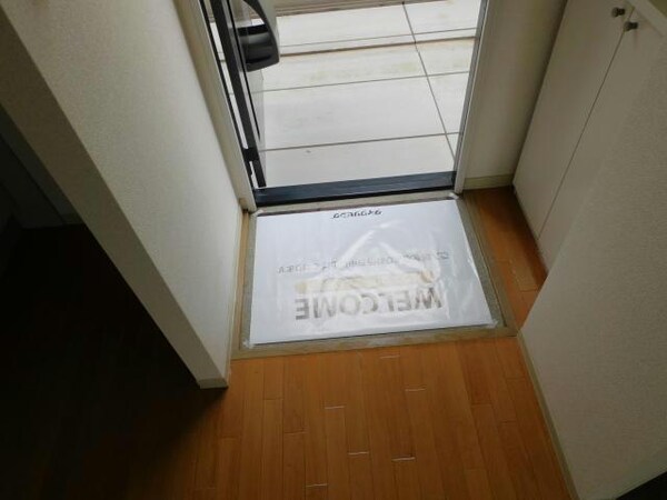 玄関回り(玄関)