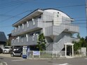 アクティＱ