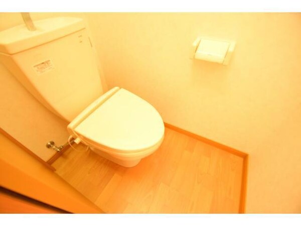 トイレ(他号室の室内写真になります。)