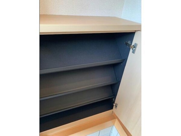 玄関回り