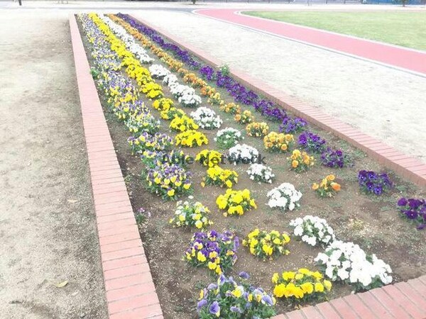 周辺環境(籠原中央公園)