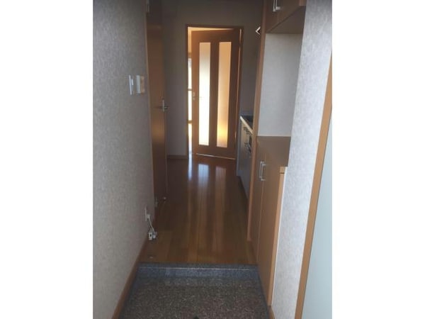 玄関回り(＊別部屋参考画像)