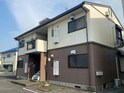 ニューパイン