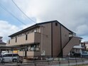 サンシャイン花の木