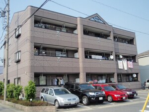 カーム　フィールド外観写真