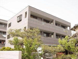 スパイクナード外観写真