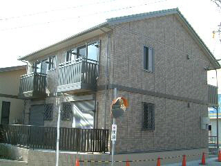 アムールイワタ