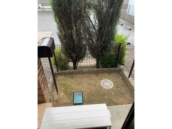 庭