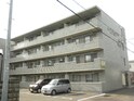 T-ﾌﾗｯﾄ204