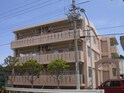 オアシス１０