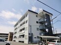 ピュア田中