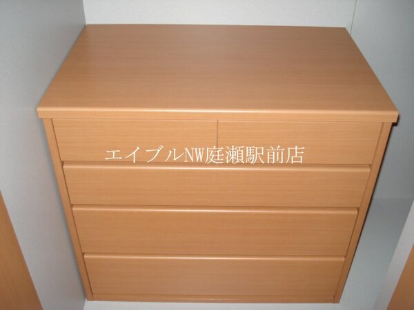 収納(収納内小ダンス)