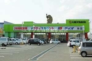 ディオ本店