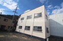 レモンパール