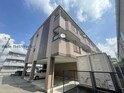 セントポーリア・サウス