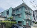 マイアみどり