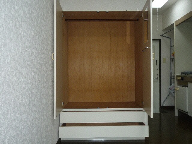 物件内観写真6　(大きな収納)