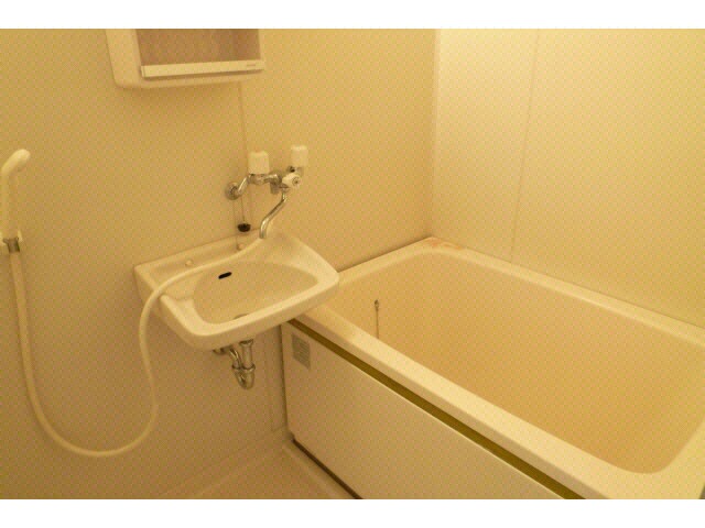 物件内観写真8　(洗面台付き浴室)