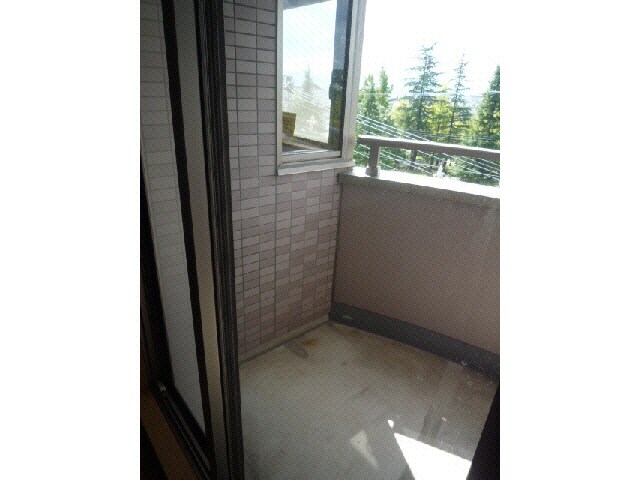 物件内観写真8　(ベランダ)