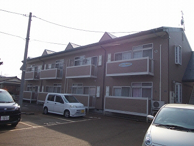 Ｓａｎｔｙひまわり
