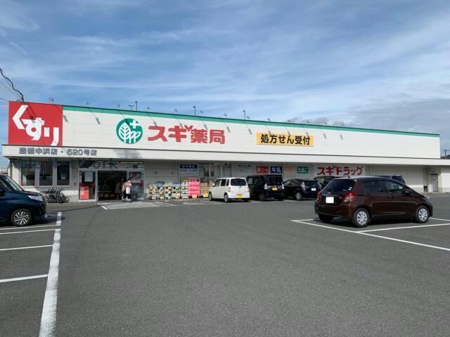 スギ薬局豊橋中浜店