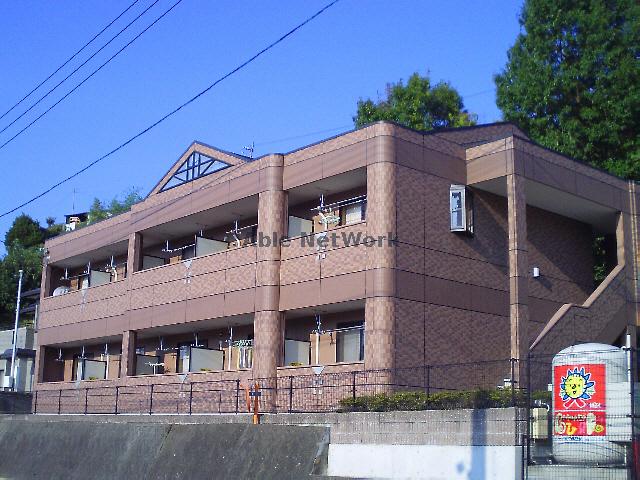パームヒルズ