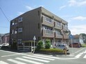 メゾンノウブル