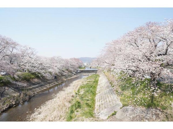 周辺環境(春は桜が綺麗に見えます♪)