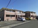 パエーゼ　カメリア