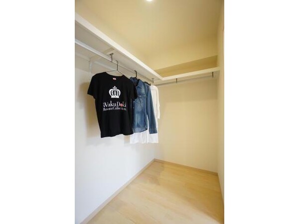 収納(ウォークインクローゼット)