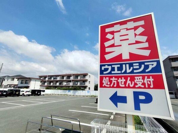 周辺環境(ウエルシアさん近ぁ♪)