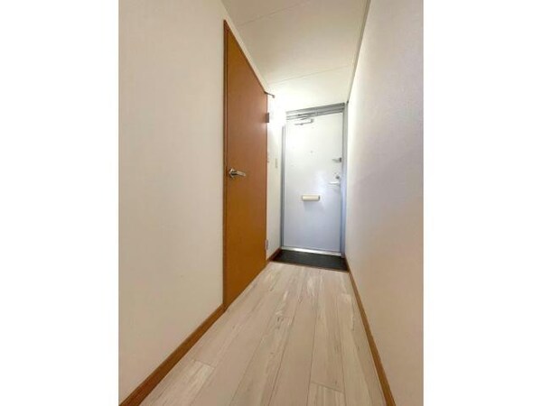 玄関回り(玄関)