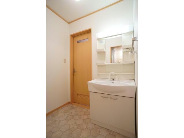 物件内観写真11　(シャワー付きシャンプードレッサー)