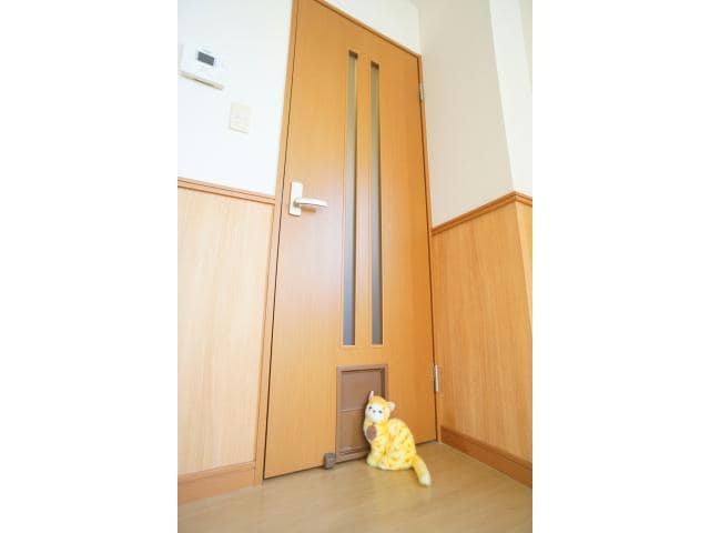 物件内観写真15　(ペット通りぬけ扉付き)