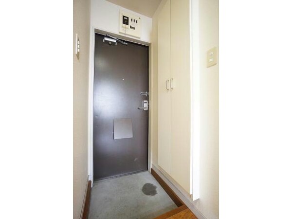 玄関回り(シューズボックスあり)