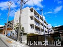 ＫＡＮＯＫＯⅡ