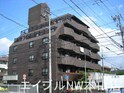 ミスターシロヤマ