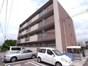 ラフィーネシャラ