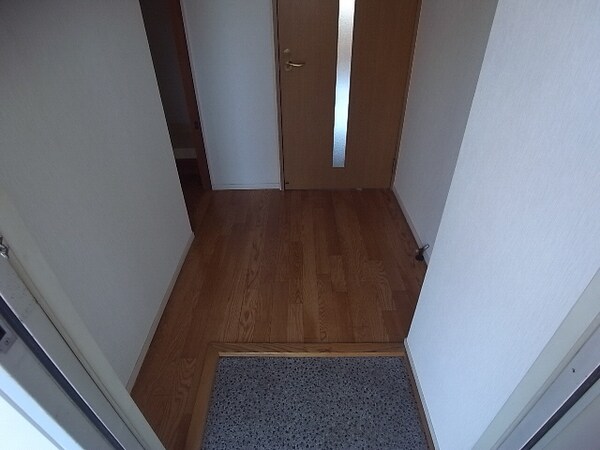 玄関回り(玄関)