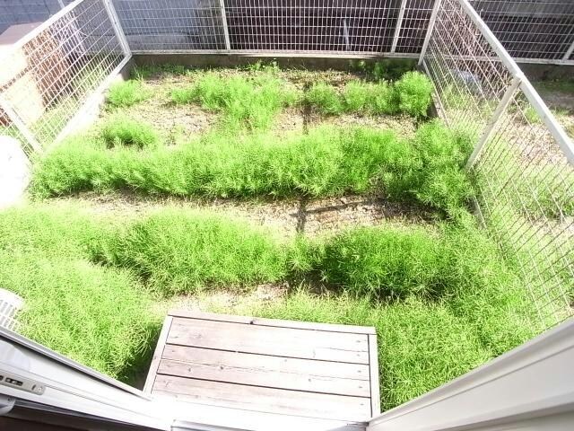 物件内観写真27　(専用庭)