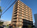 ハイブライト平岡