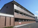 Ｓｕｎｎｙ　Ｃｏｕｒｔ